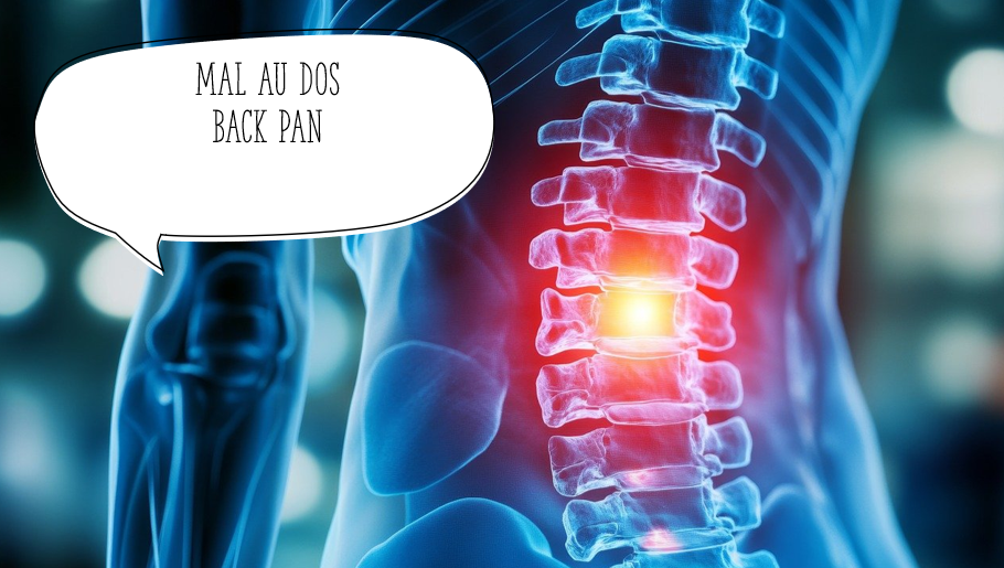 WORKSHOP : BACK PAIN January 17, 2026